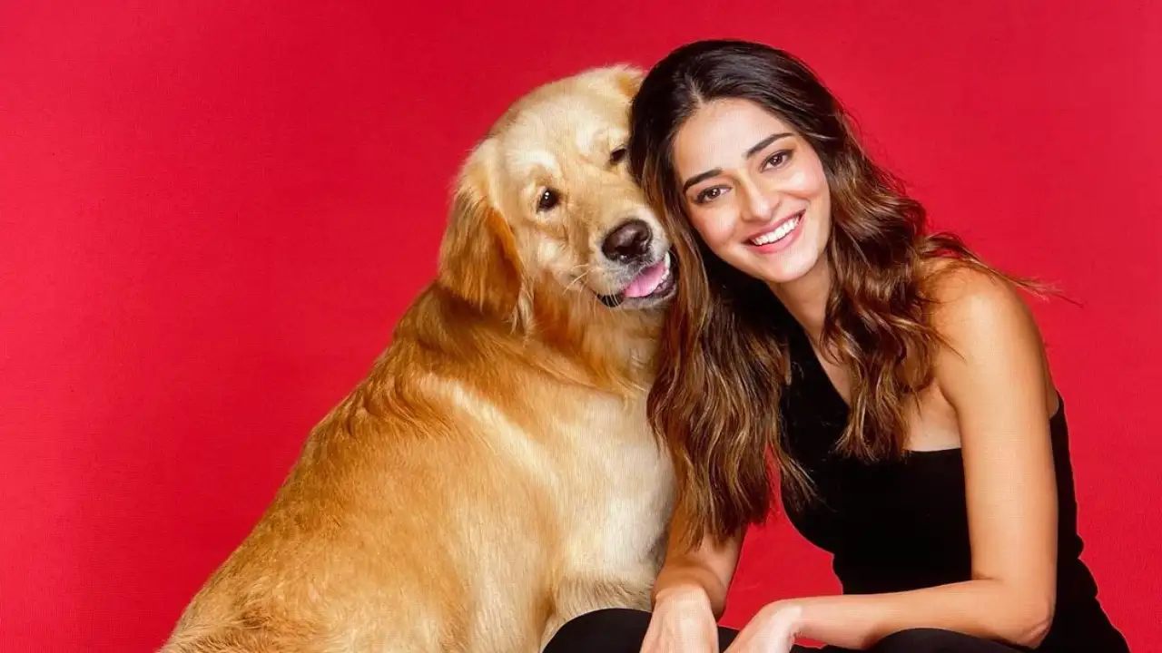 Liger Review: This Vijay Deverakonda actioner is a beaten-to-death, languid mess