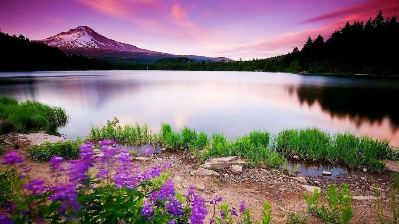 centrestage article 7