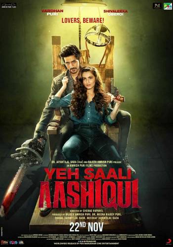 Yeh Saali Aashiqui 2019 movie