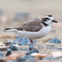 HD: 5 K-pop fathers who inspire on and off stage: EXO's Chen, BIGBANG's Taeyang, and more HD: 5 K-pop fathers who inspire on and off stage: EXO's Chen, BIGBANG's Taeyang, and more