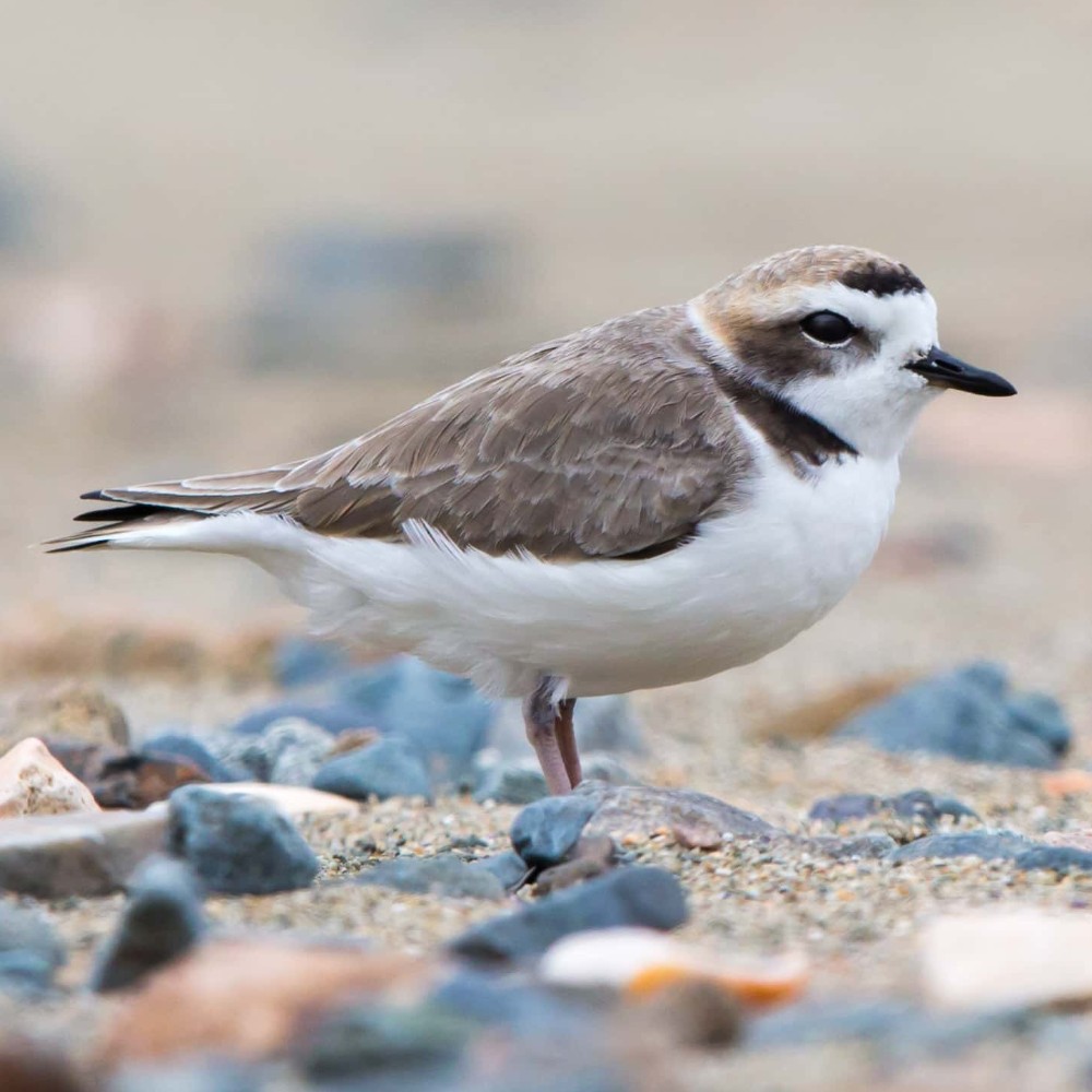 Mouni Roy flaunted her curves in bold